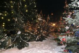 Adventmarkt