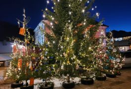 Weihnachtswald-2022-3.JPG